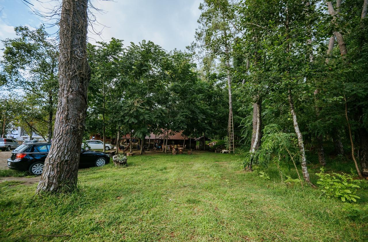 Hotel Forest Fairy Shekhvetili Exterior foto